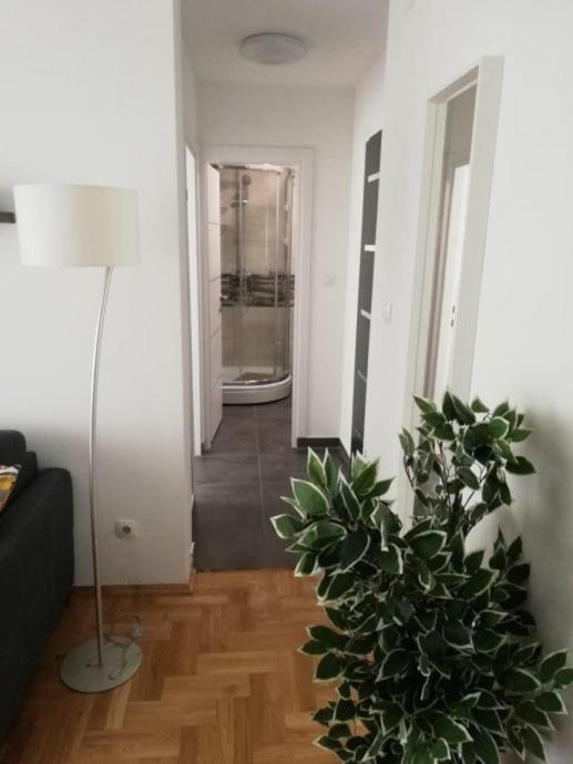 Apartments Ali ザグレブ エクステリア 写真